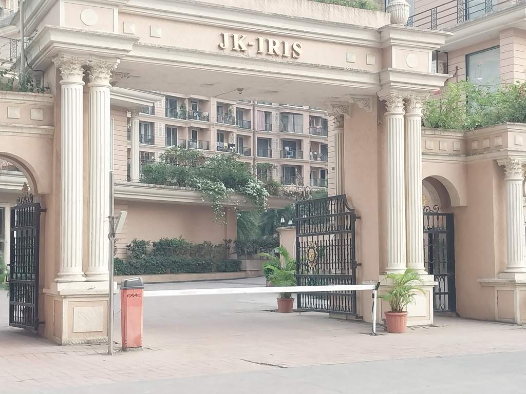 JK Iris