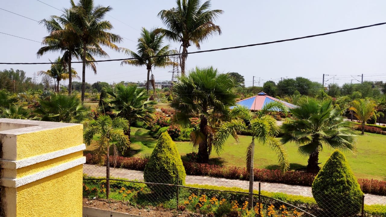 estate phase 1 Elevation