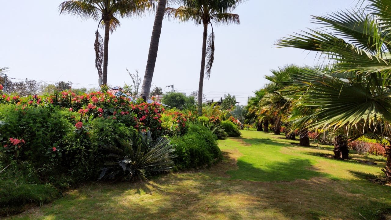 estate phase 1 Elevation