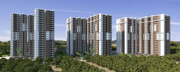  signature Images for Project