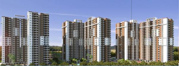  signature Images for Project