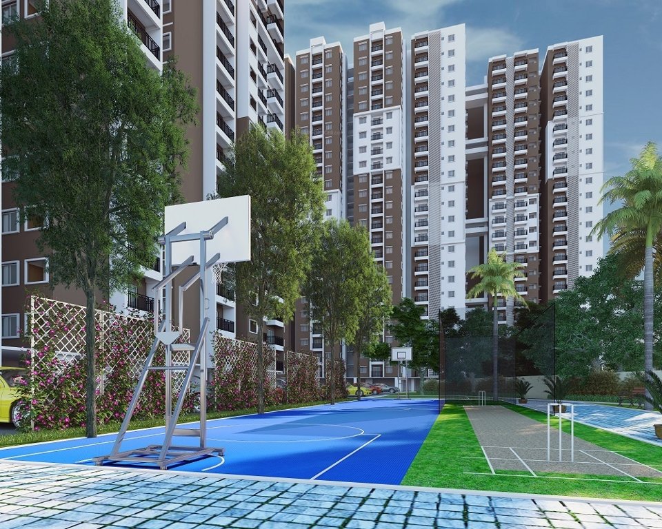  signature Cricket Pitch