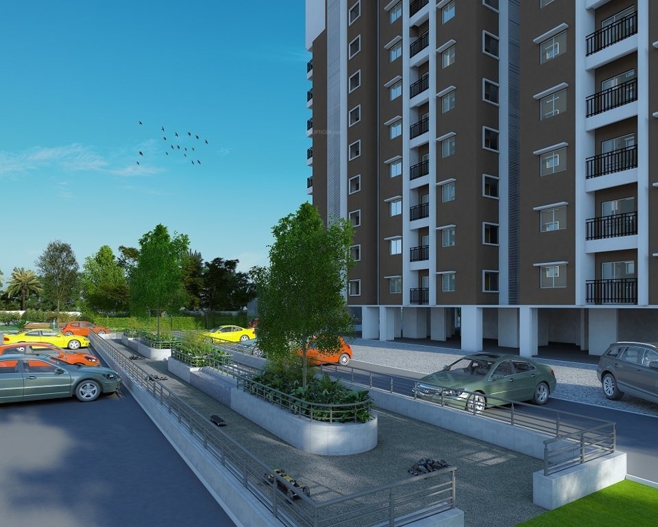  signature Skating Rink