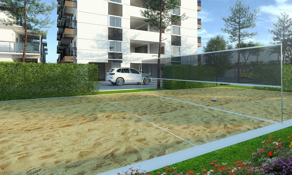  signature Volleyball Court