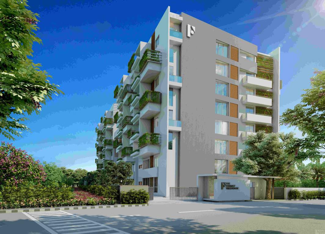  the formist treehouse Elevation