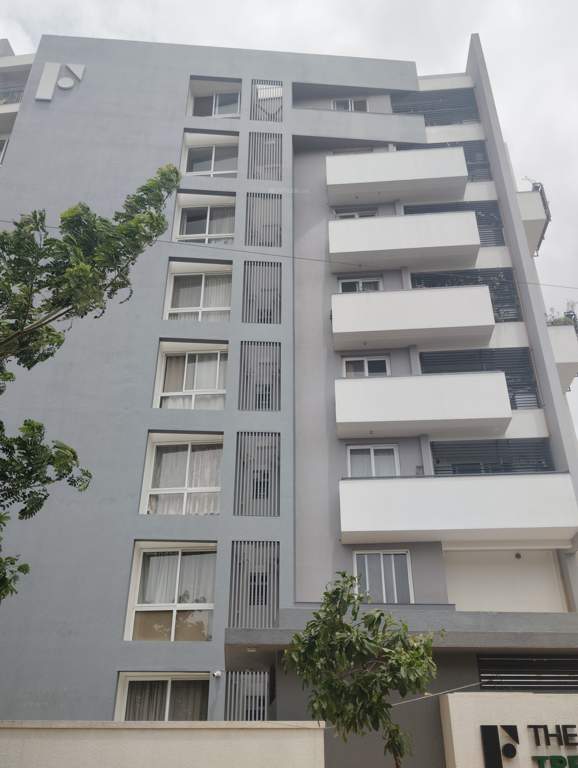  the formist treehouse Elevation