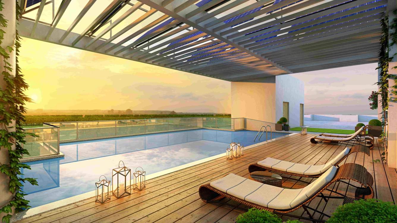  the formist treehouse Swimming Pool