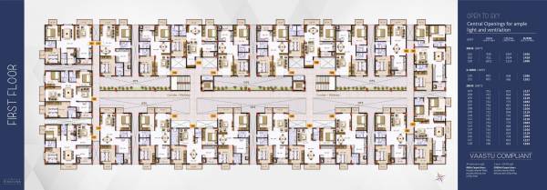  zassz-bliss Cluster Plan
