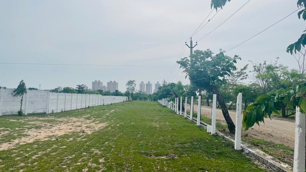  grand square Elevation