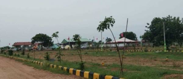 Images for mainOther