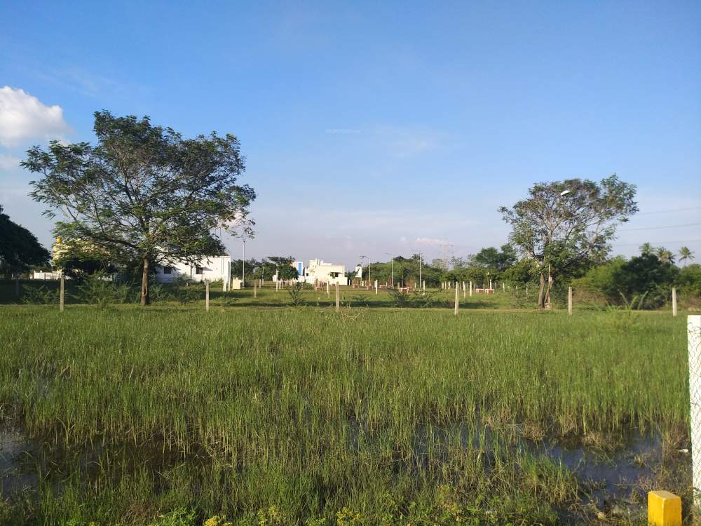  southern meadows phase iv Elevation