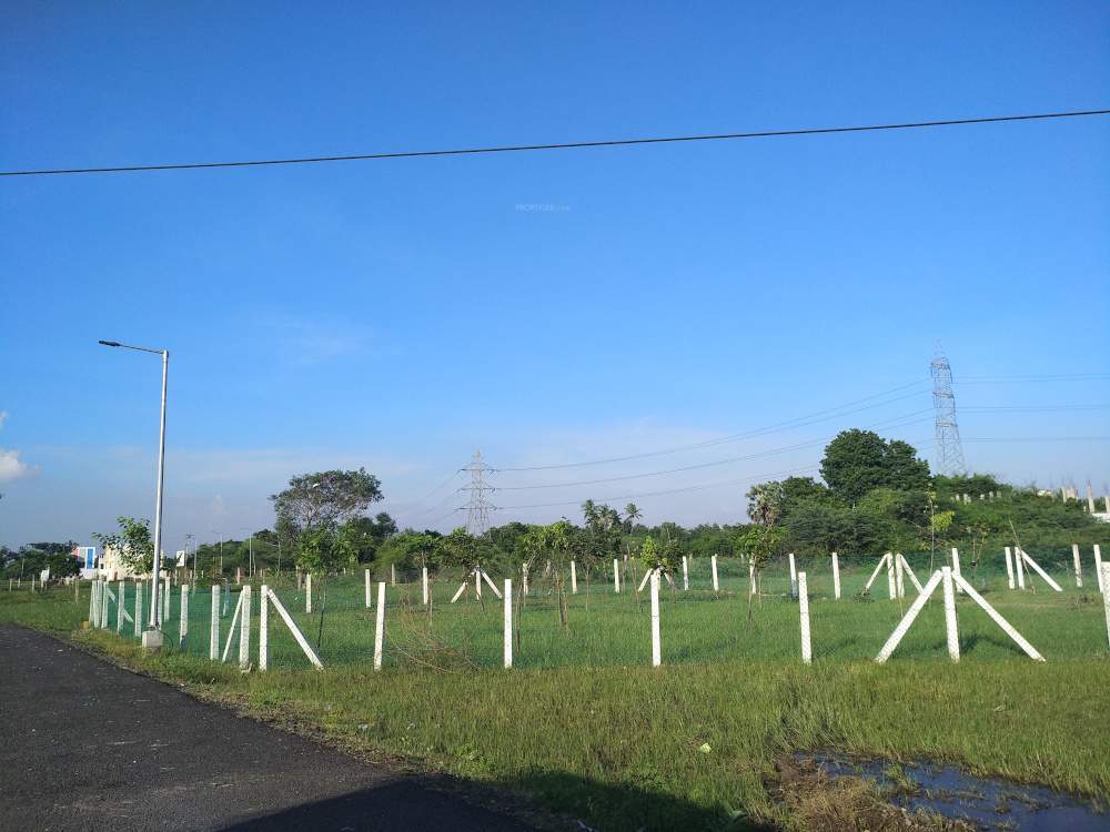  southern meadows phase iv Elevation