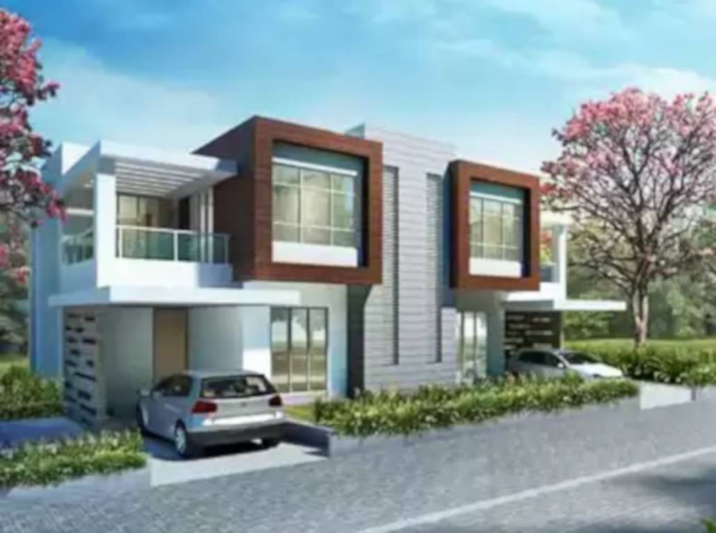 Images for Project Images for Project