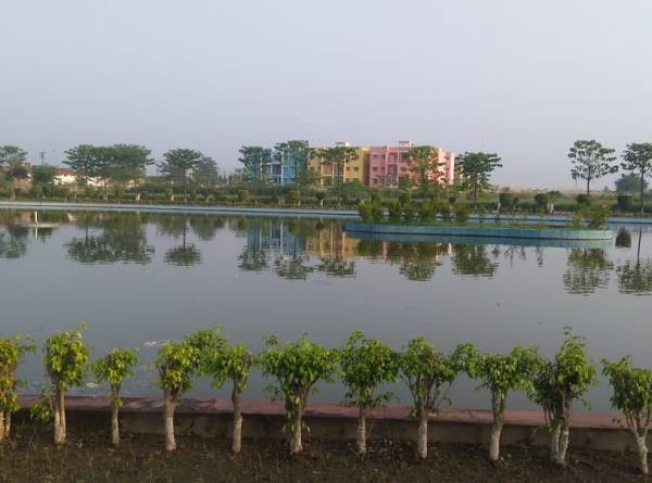 Others lake-city Others