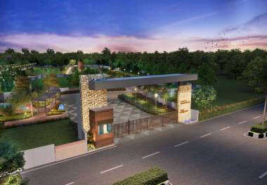 Elevation provident-woodfield Elevation