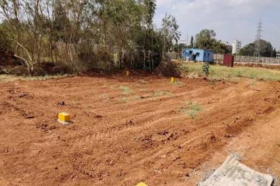 Elevation woodfield Elevation