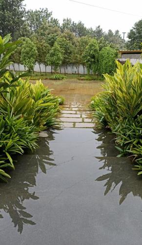  atmos-&-aura Landscaped Gardens