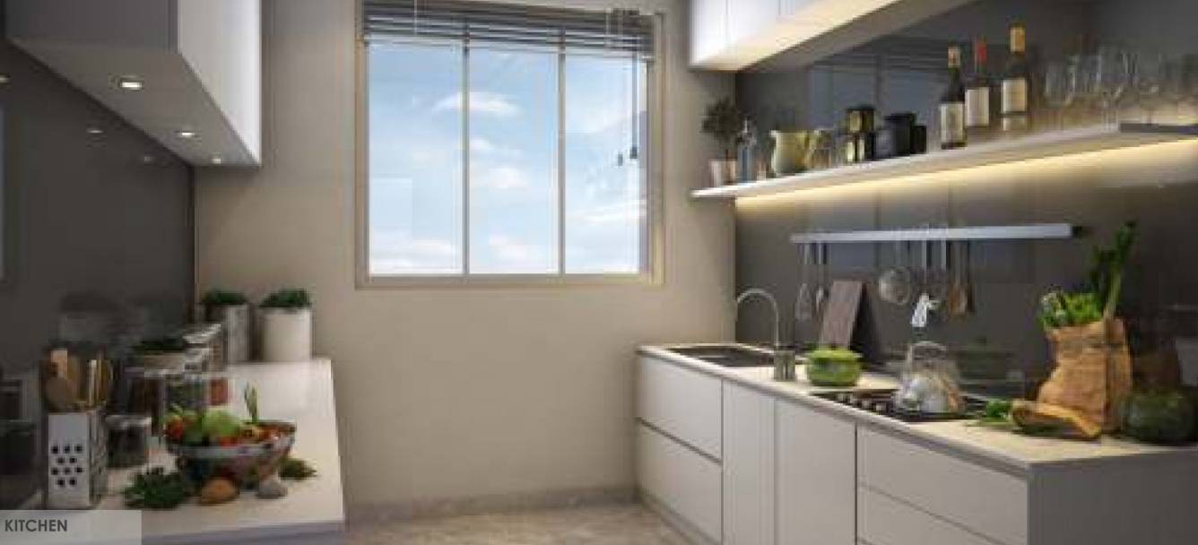 Images for mainOther