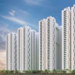 Images for Project Images for Project