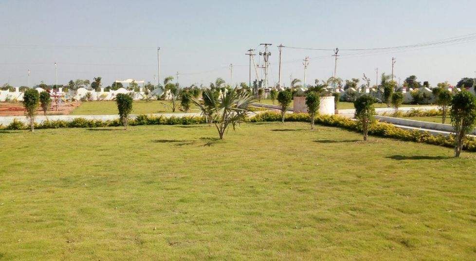  suncity capital Landscaped Gardens