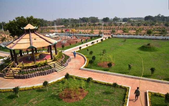  suncity capital Others