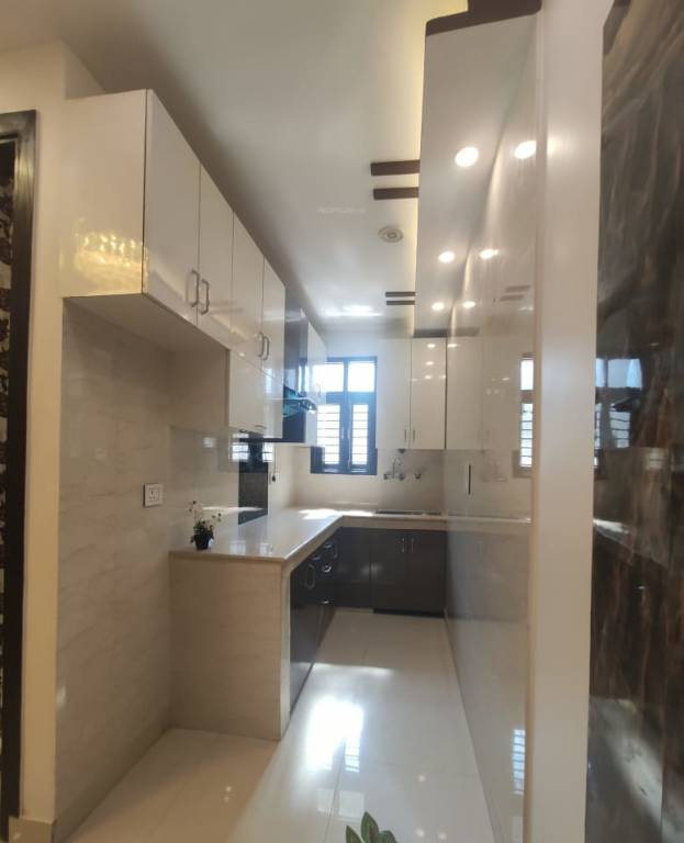 Images for mainOther