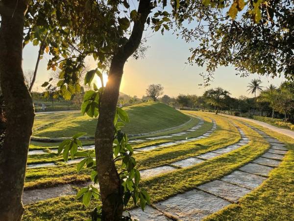  the-ampelon-2 Elevation