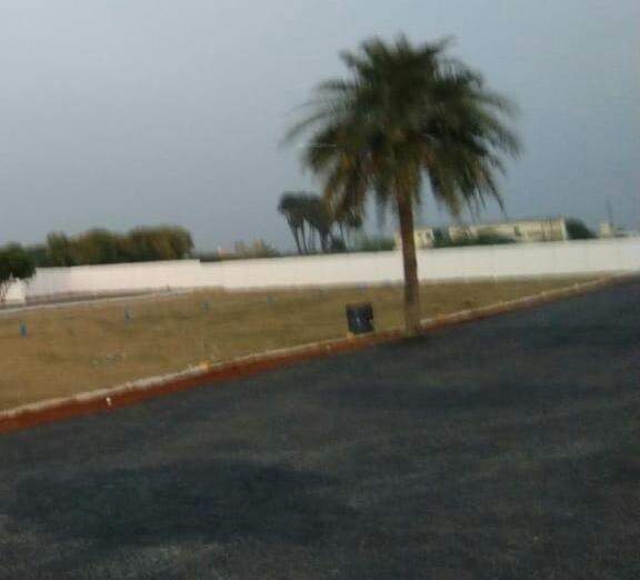 Images for mainOther