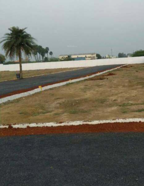 Images for mainOther