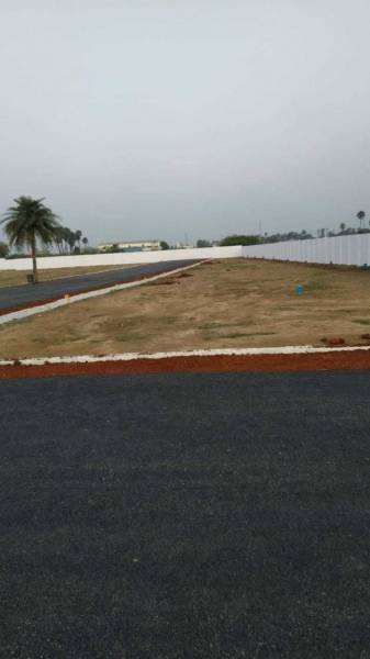 Images for mainOther