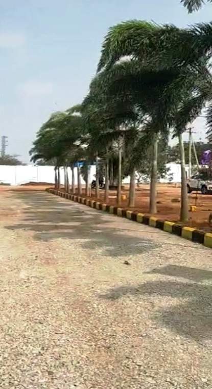  serene city Elevation