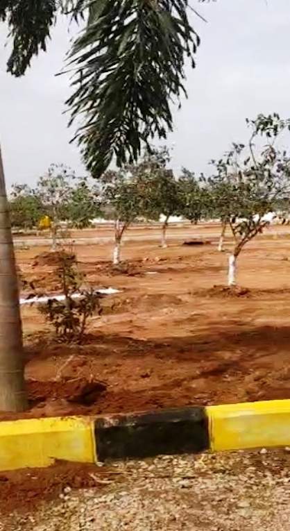  serene city Elevation