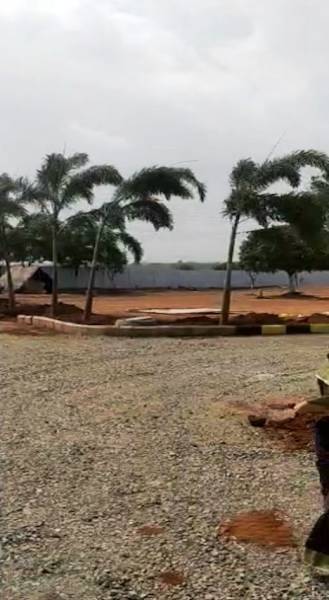  serene-city Elevation