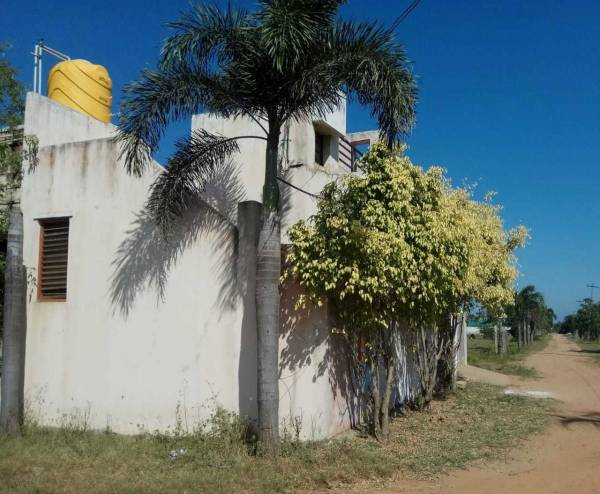 Images for mainOther