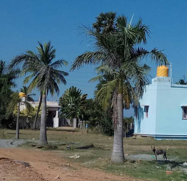 Images for mainOther