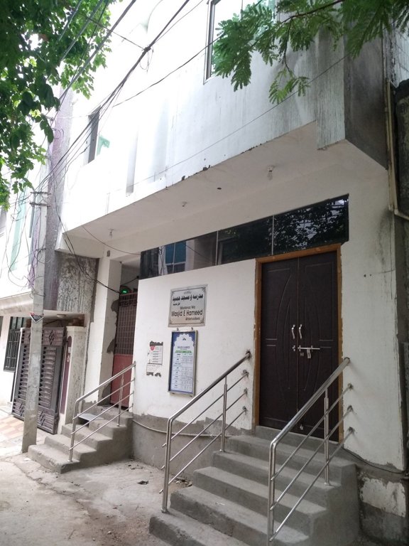 Images for mainOther