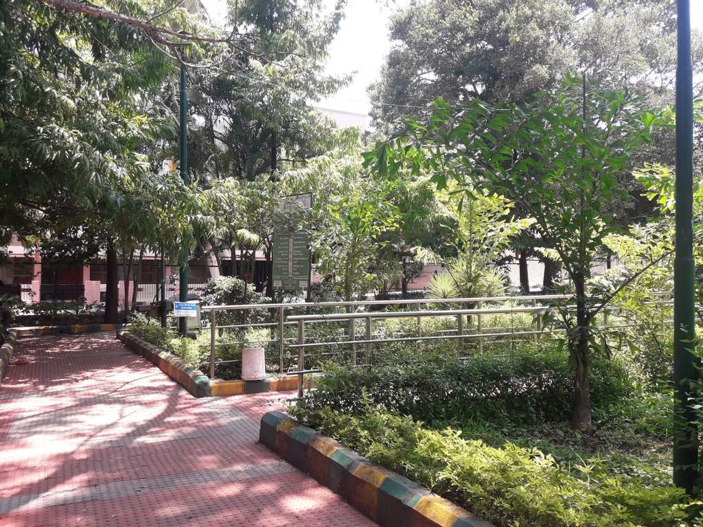 Images for mainOther