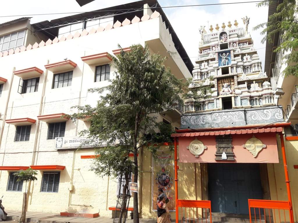 Images for mainOther