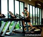  arzoo-greens Gymnasium