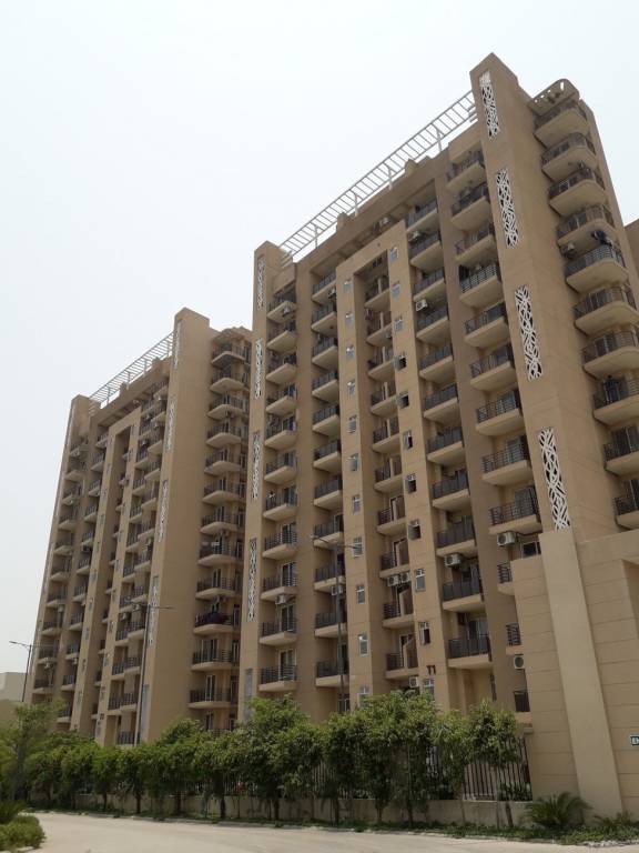 Images for mainOther