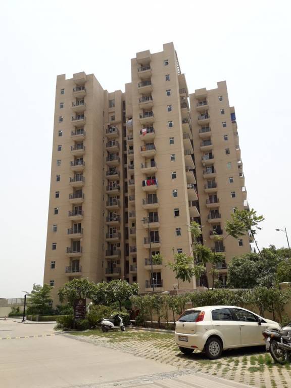 Images for mainOther