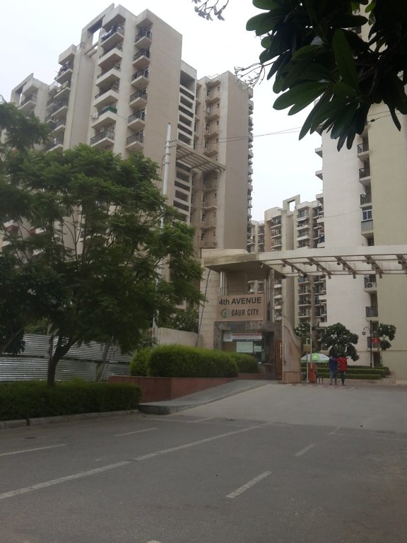 Images for mainOther