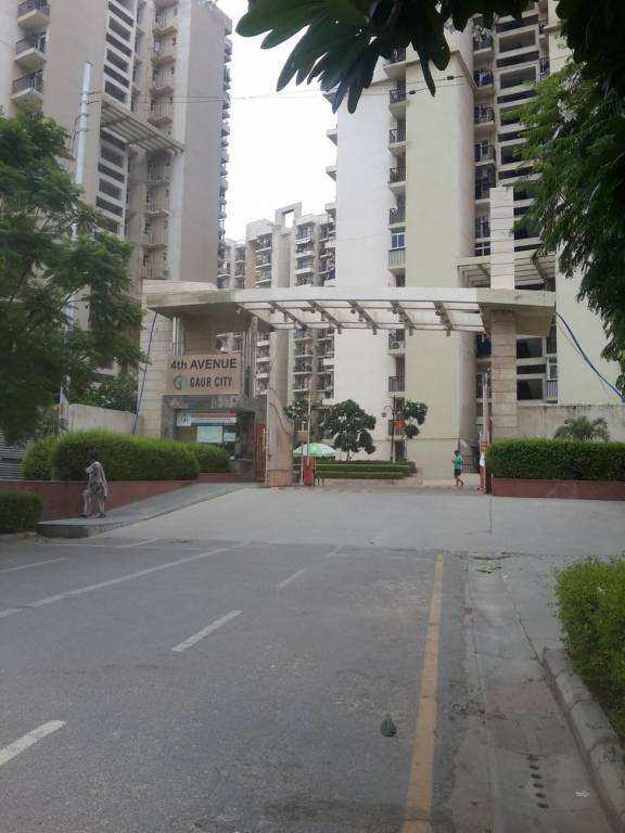 Images for mainOther