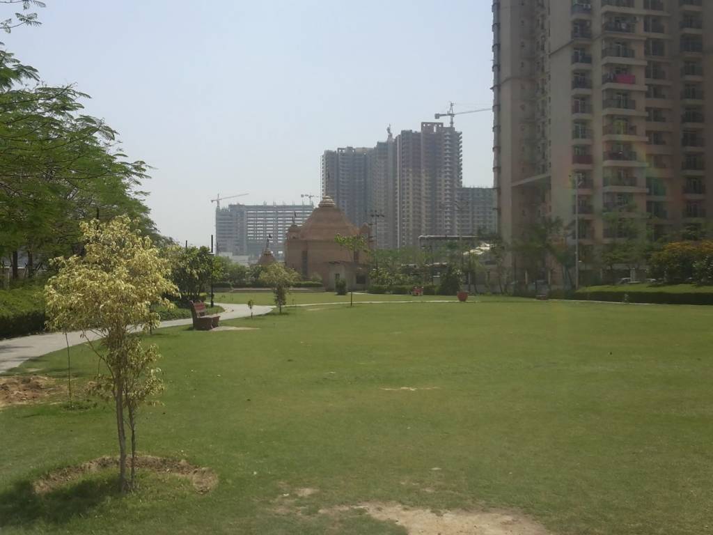 Images for mainOther