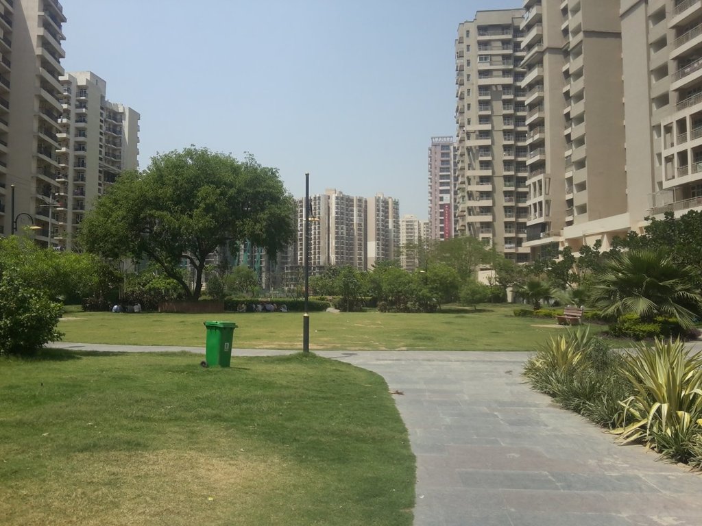 Images for mainOther