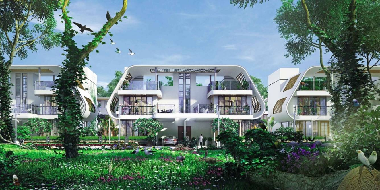 Images for mainOther