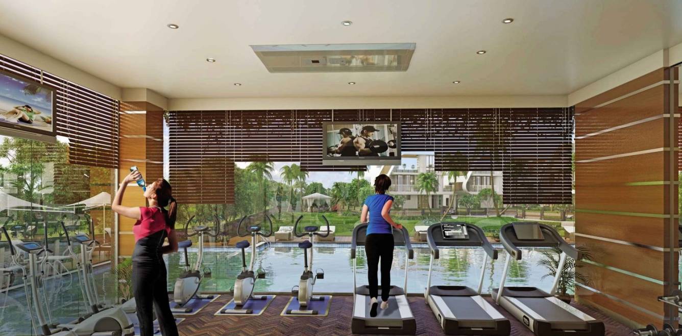 Images for mainOther