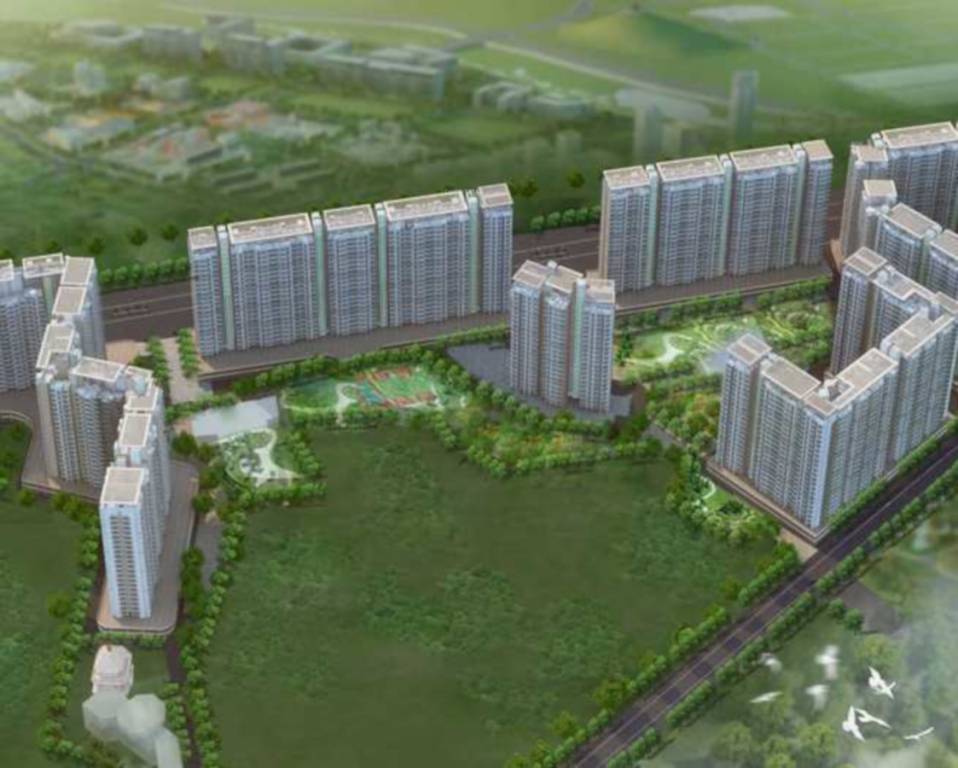  jp estella Elevation