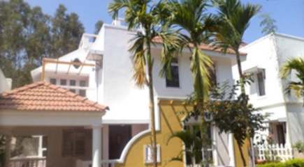 Images for mainOther