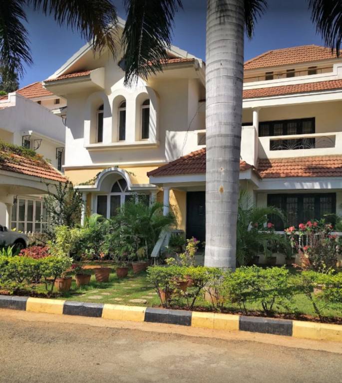 Images for mainOther